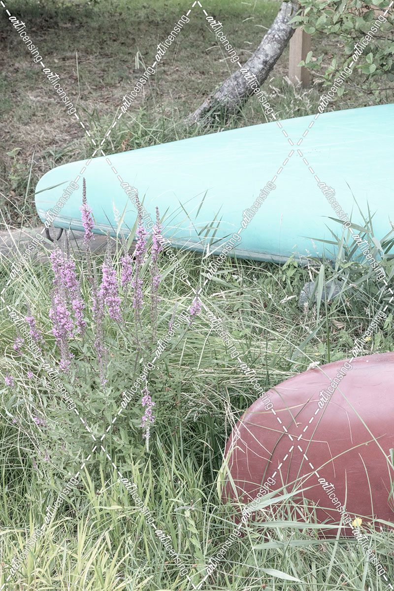 Canoes in the Flowers