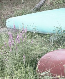 Canoes in the Flowers