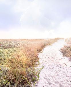 Dune Trail into the Morning Mist