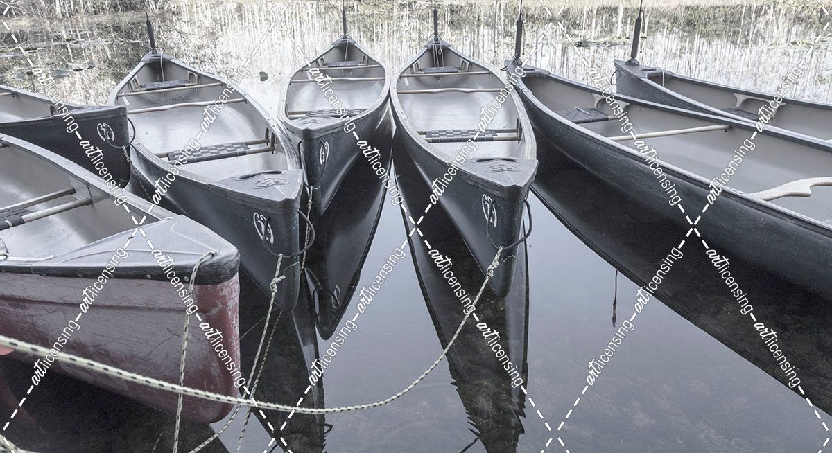 Peaceful Canoes at the Dock