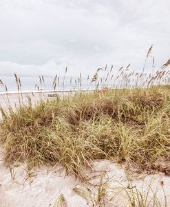 Soft Colors at the Dunes