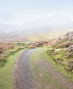 Misty Trail into the Mountain