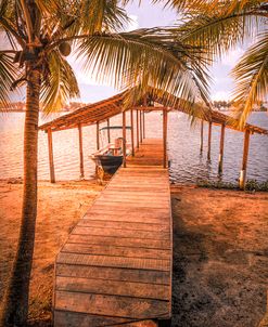 Swaying Palms Over the Dock At Sunset