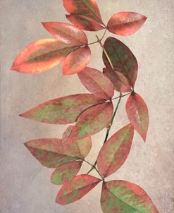 Copper Leaves Decorative Botanicals