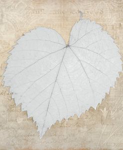 Single White Leaf Decorative Botanicals