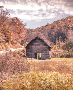 In the Middle of Autumn Fields