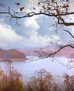 Drifting Fog over the Lake