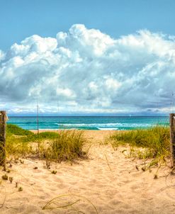 Footprints on the Sand Dunes