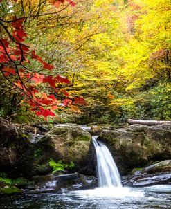 The Colors of Fall at the Waterfall