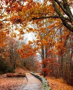 Trail along the Overlook