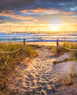 Walk across the Sand Dunes