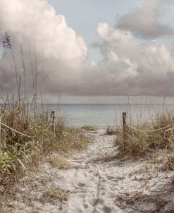 Walk along the Sand Dunes in Beachhouse Tones