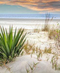 Sand Dunes at Sunrise