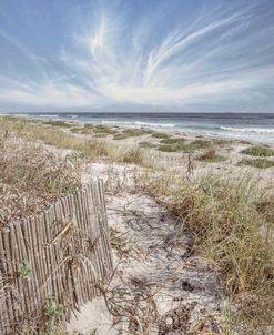 Dunes Fences on a Beautiful Morning in Beachouse Tones