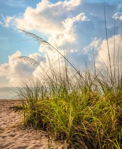 Sand Dunes Under the Clouds