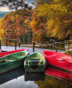 Autumn Rowboats in the Lake