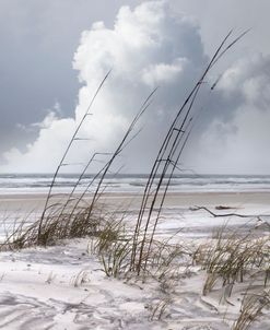 Blowing with the Breeze