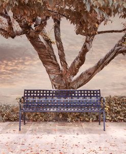 Soft Sunrise Beach Bench