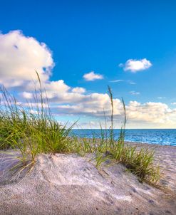 Sand Dunes in Paradise