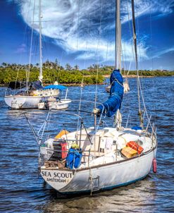 White Sailboats by the Docks