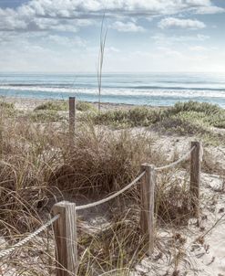 Sand Dune Trail in Beachhouse Hues
