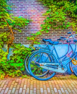 Blue Bicycles on the Sidewalk