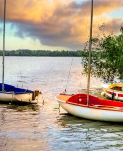 Sailboats Floating at the Lake