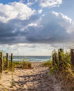 Dune Walk Panorama