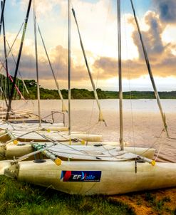 Line Up of Catamarans