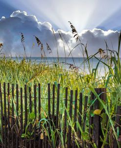 Sunbeams over the Ocean Dunes