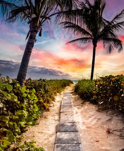 Wander Through the Dunes