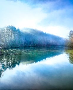 Foggy Spring Reflections