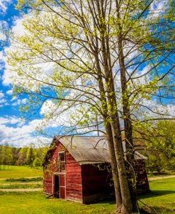 Springtime at the Barn_