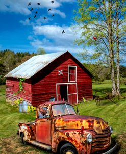 Rusty Reds on a Country Farm