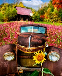 Vintage in the Wildflowers