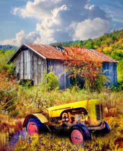 Little Yellow Tractor in Wildflowers