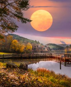 Moon Rising over the Lake