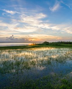 Peaceful Evening Marsh