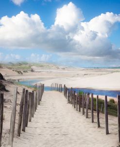 Trail Through the Sand Dunes