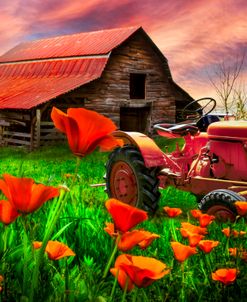 Tractor in Poppies