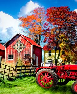 Autumn Reds on the Farm
