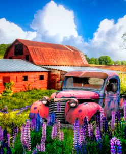 Early Morning Red Barns and Truck