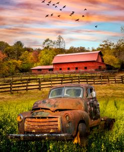 Old Rusty in the Farm Pastures