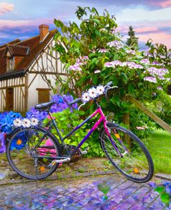 Summer Cycling in Flowers
