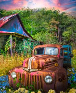 Rusty Truck in the Wildflower Meadow II