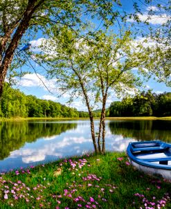 Springtime Reflections