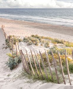 Summer Beach at Sunset in Beachhouse Hues