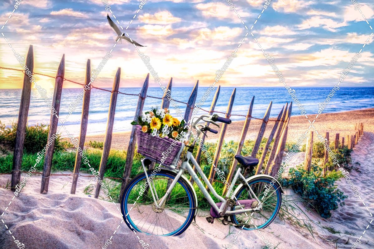 Summer Bicycle at Sunset