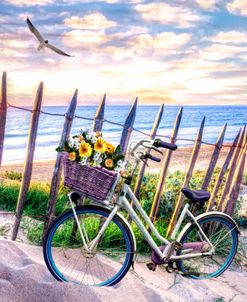 Summer Bicycle at Sunset