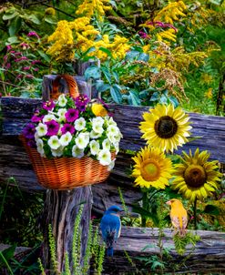 Garden Greeting